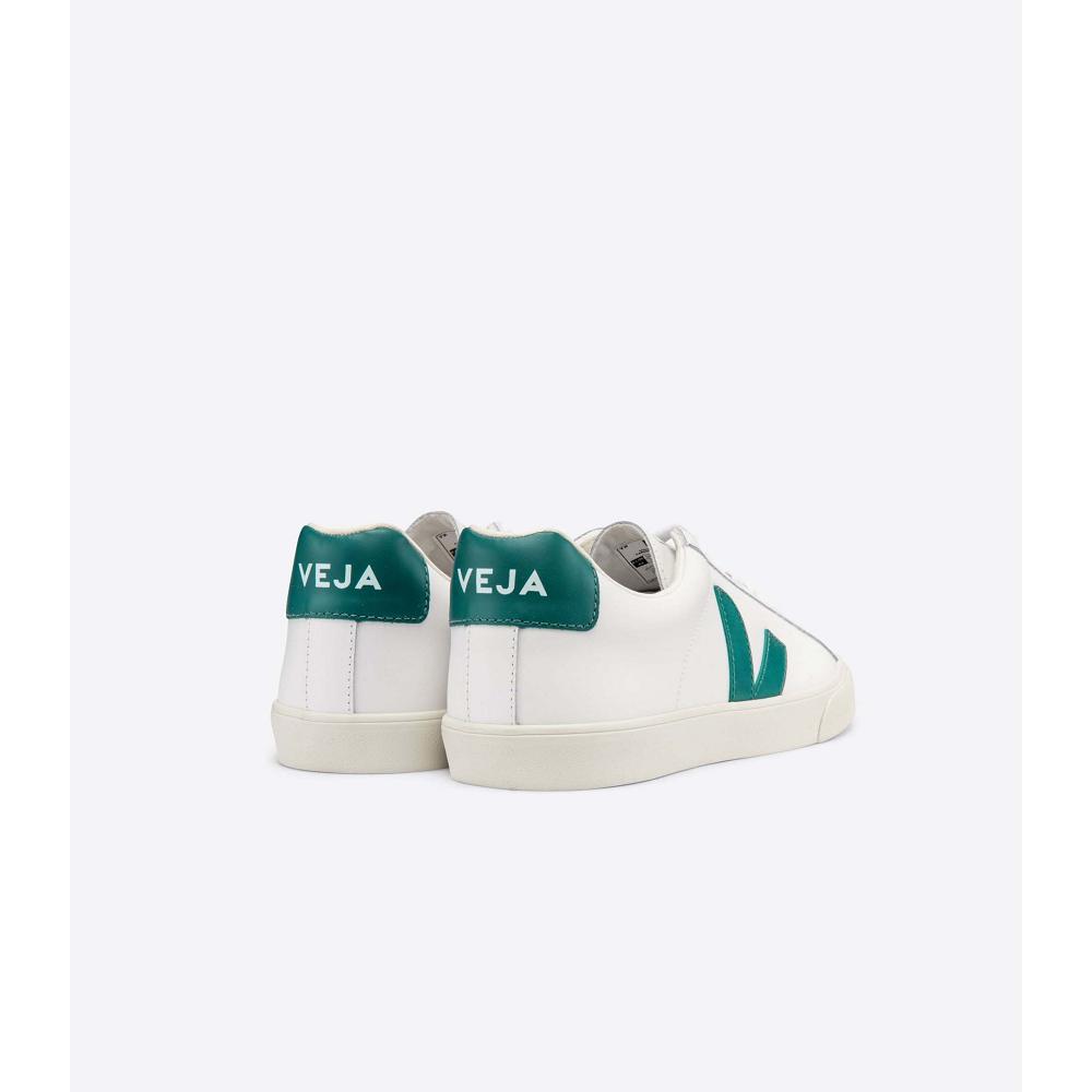 Veja ESPLAR LEATHER Sneakers Heren White/Green | NL 305ZUT